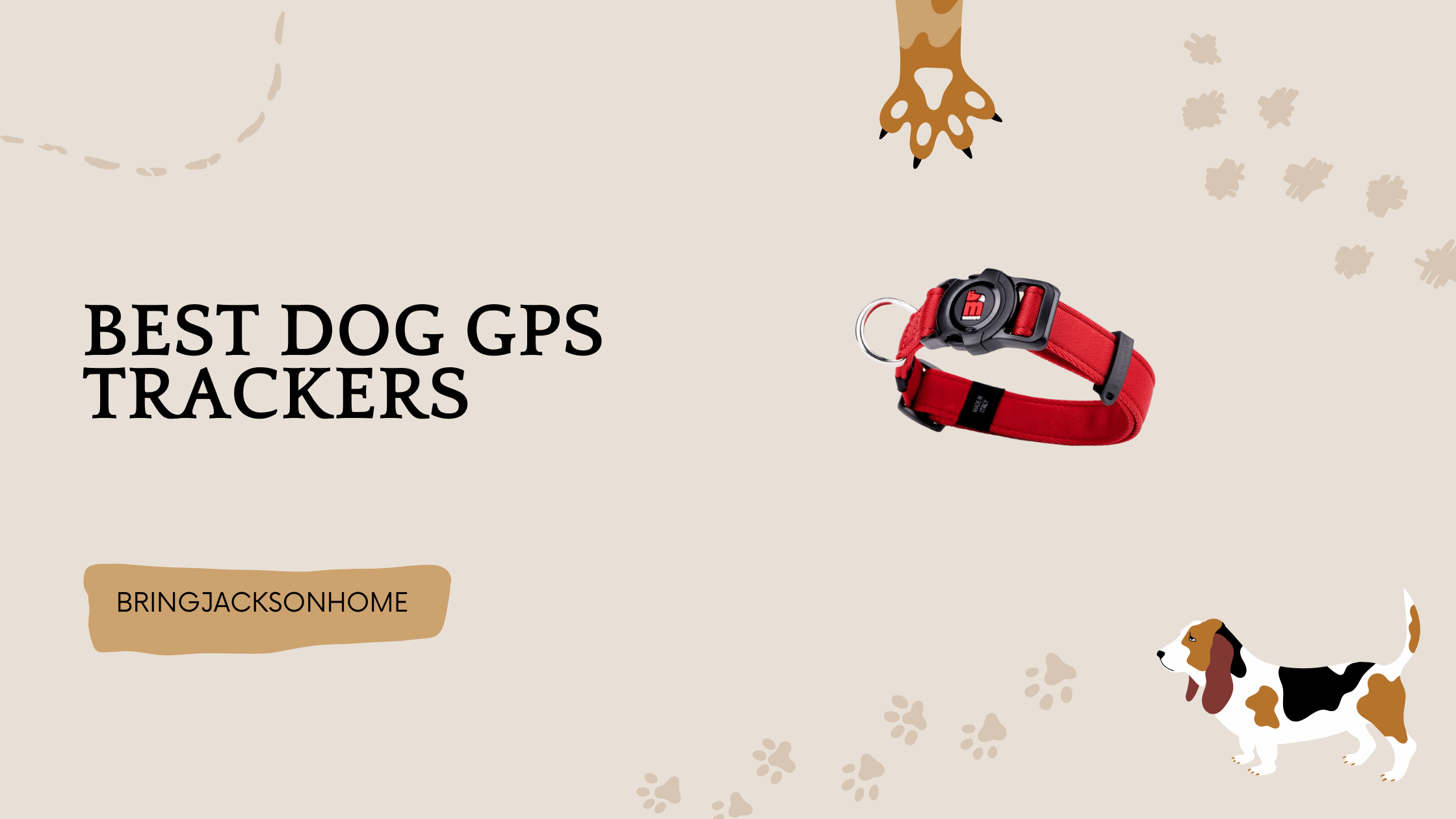 The Best GPS Dog Collar and Pet Tracker of 2023