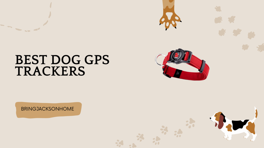 Best Dog GPS Trackers - BringJacksonHome