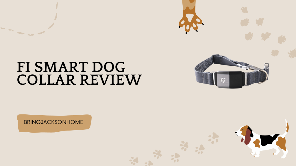 Fi Smart Dog Collar Review - BringJacksonHome
