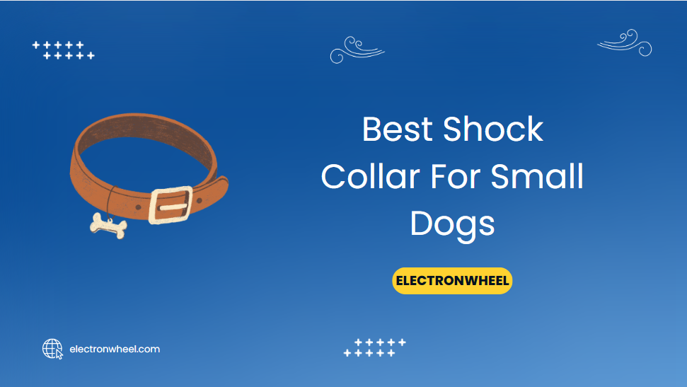 Best Shock Collar For Small Dogs - ElectronWheel