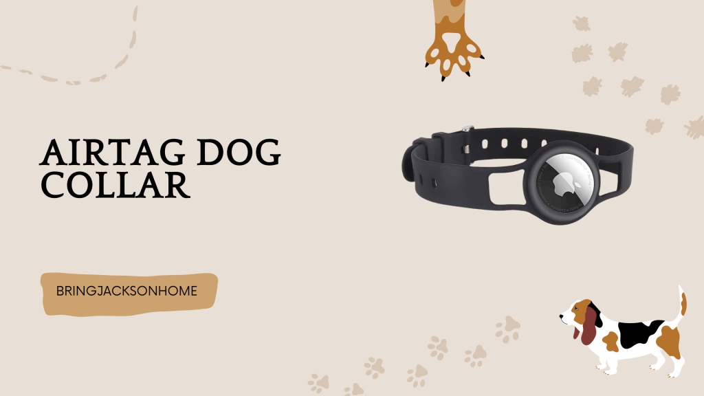AirTag Dog Collar - BringJacksonHome