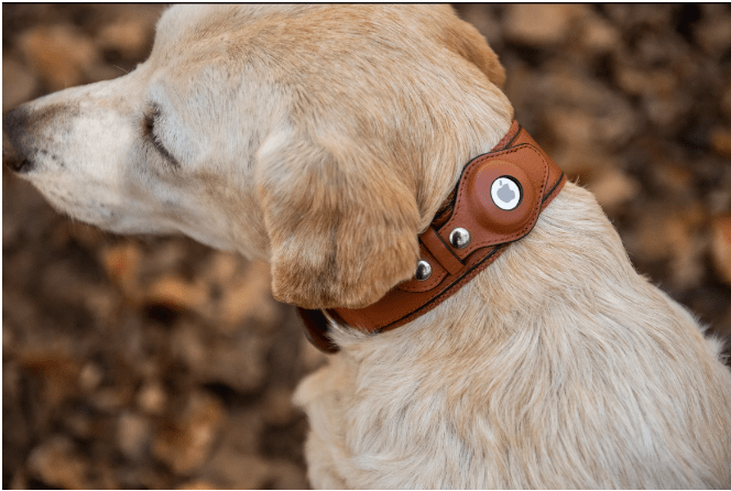 AirTag Dog Collar
