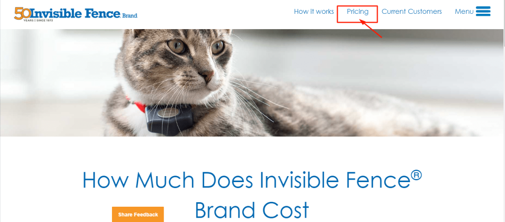 Invisible Click on pricing page