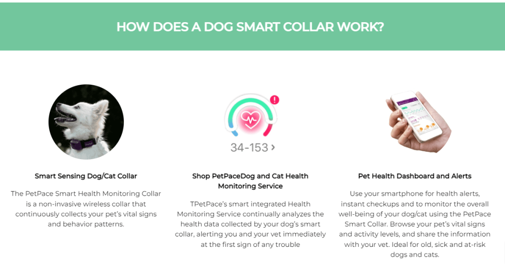 How does a dog smart collar work