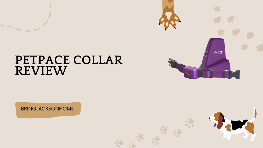 PetPace Collar Review - BringJacksonHome
