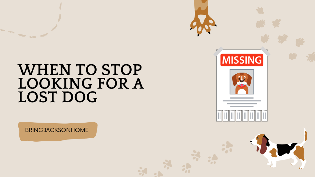 When To Stop Looking For A Lost Dog - BringJacksonHome