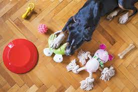 Distract Your Dog With A Toy
