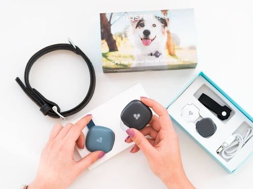 Findster Duo Dog Tracker