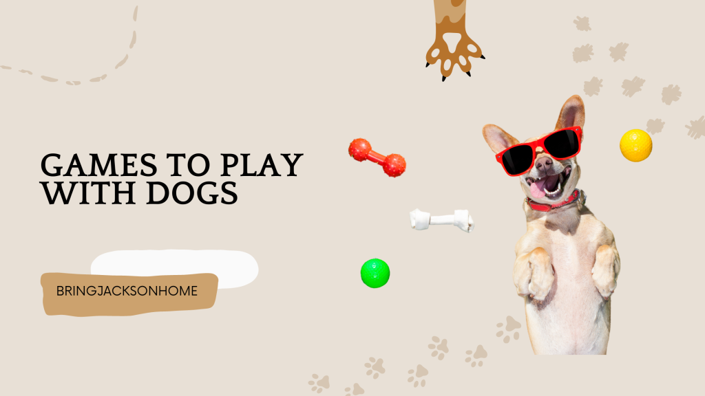Games To Play With Dogs