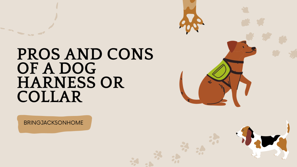 Pros And Cons Of A Dog Harness Or Collar - BringJacksonHome