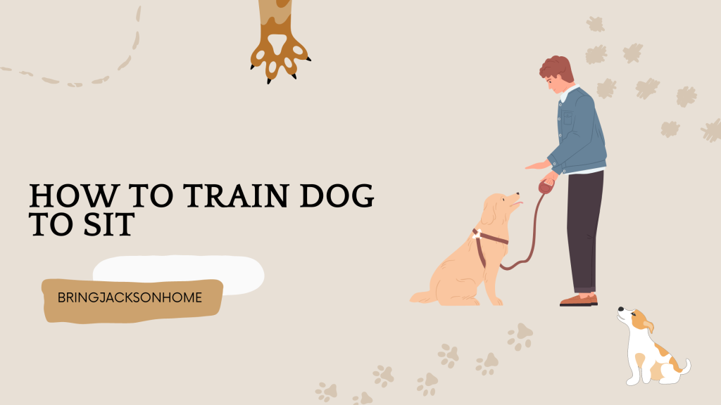 How To Train Dog To Sit (2024 Effective Techniques)