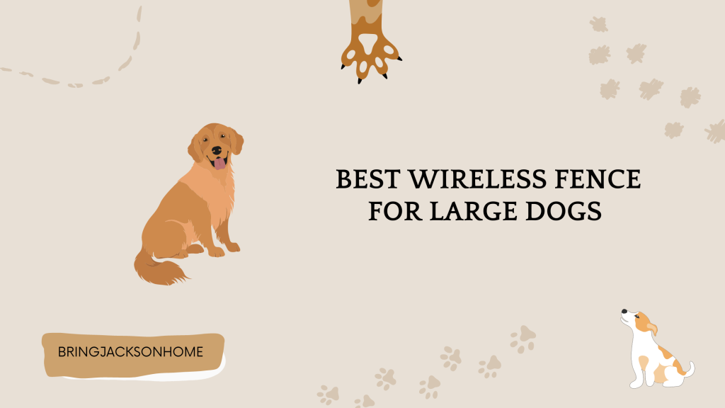 Best Wireless Fence For Large Dogs