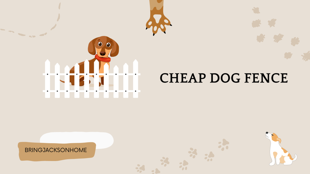 Cheap Dog Fence