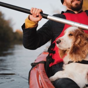 Go kayaking with your dog