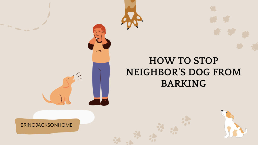 How To Stop Neighbor's Dog From Barking