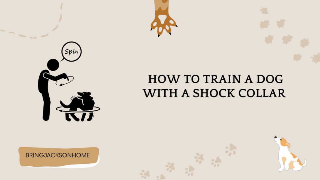 How To Train A Dog With A Shock Collar