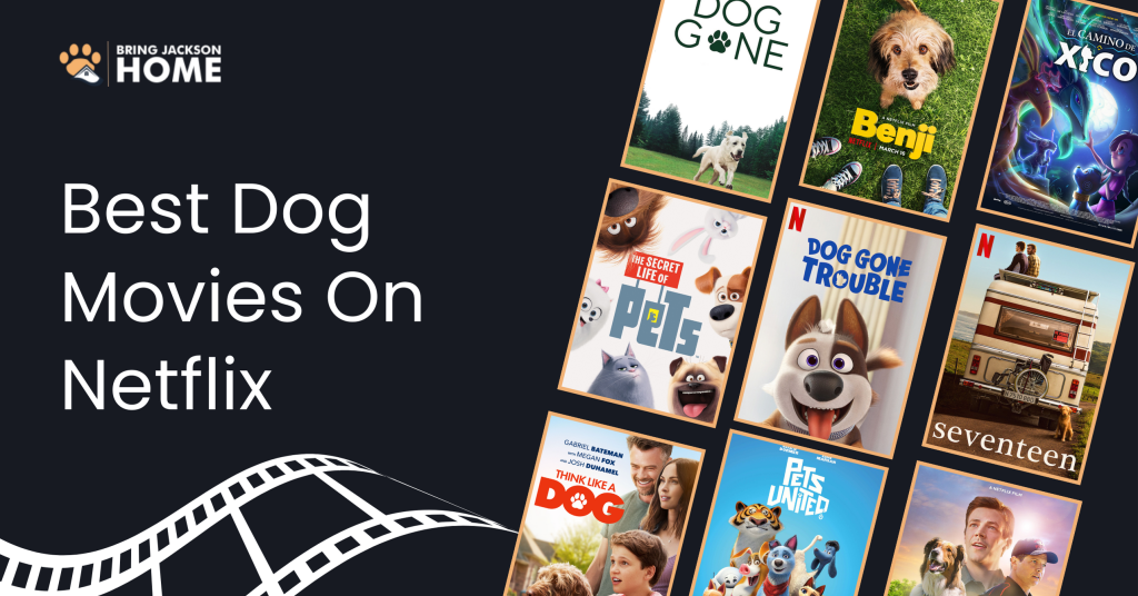 Best Dog Movies On Netflix