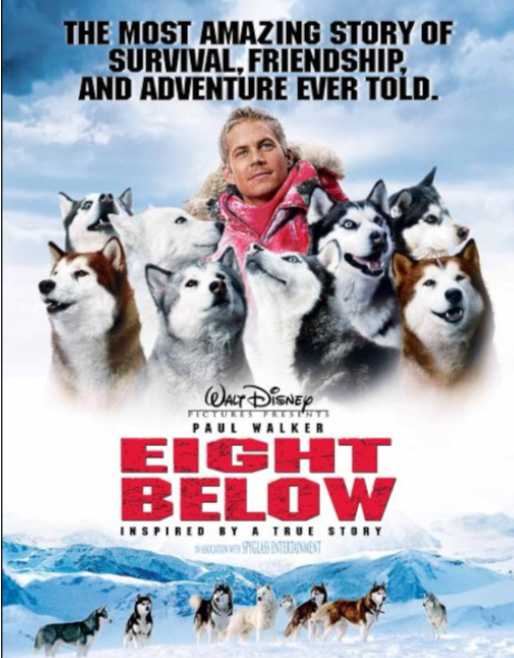 Eight Below Eight Below