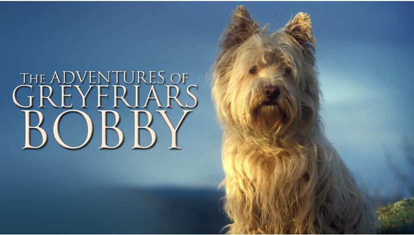 Greyfriars Bobby Greyfriars Bobby
